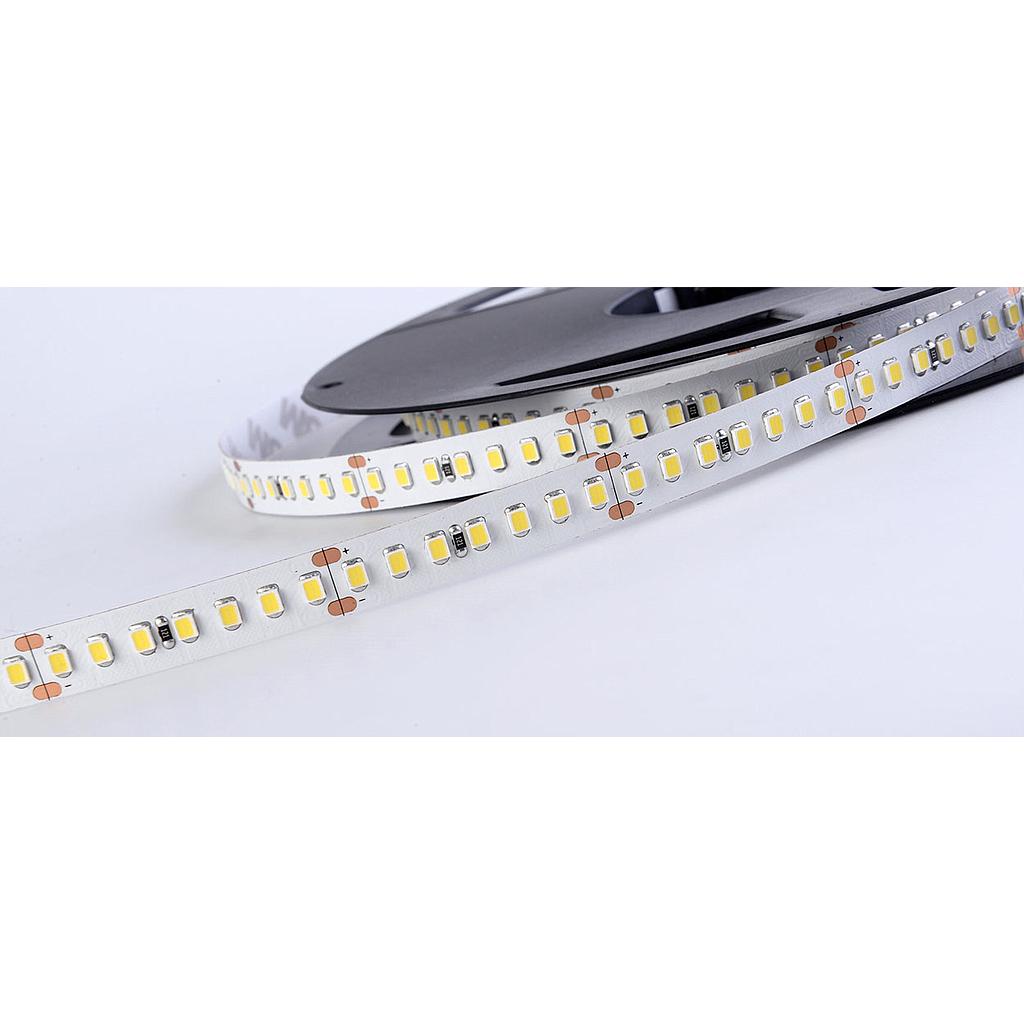 Striscia LED 2835 IP20 14,4W/m Bianco Freddo 6000K 12V