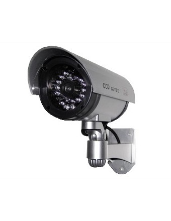 [37/00350] Telecamera Elcart finta con led
