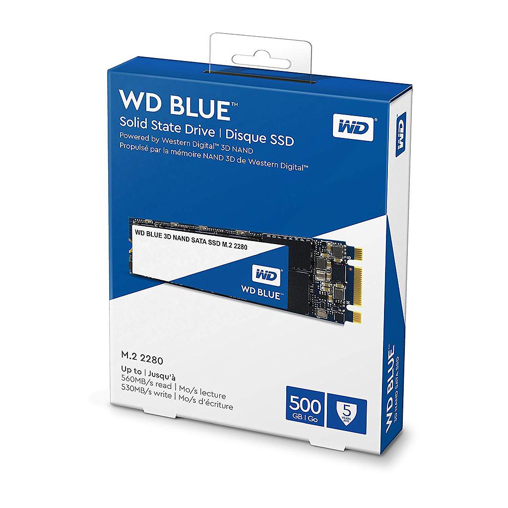 WD Blue 3D NAND SATA SSD Unità allo Stato Solido Interna M.2, 1TB
